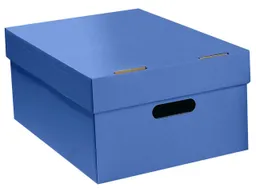 Aufbewahrungsbox "Color" aus Recyclingkarton, groß 30 x 43 x 19,5 cm, blau – Produktbild 1 von 1