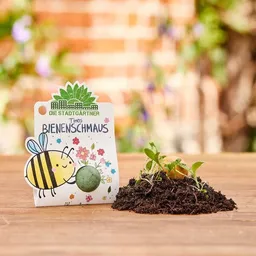 Die Stadtgärtner Die Stadtgärtner bunte Blumenmurmel das Original – Produktbild 1 von 1