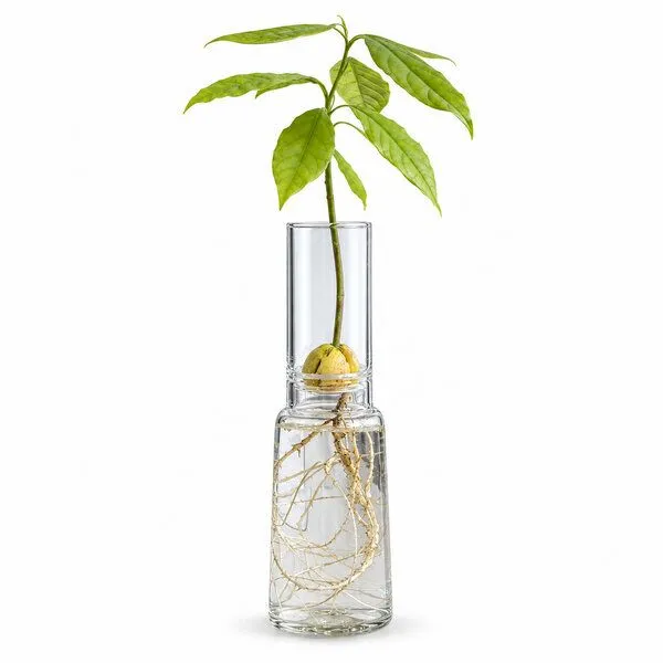 Happy Soul Happy Soul Keimglas ø 9 cm – Produktbild 4 von 5