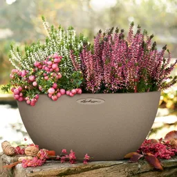Lechuza® Lechuza® 'Cubeto Stone 40', sandbeige, ca. Ø 40 x H 18,3 cm – Produktbild 1 von 1