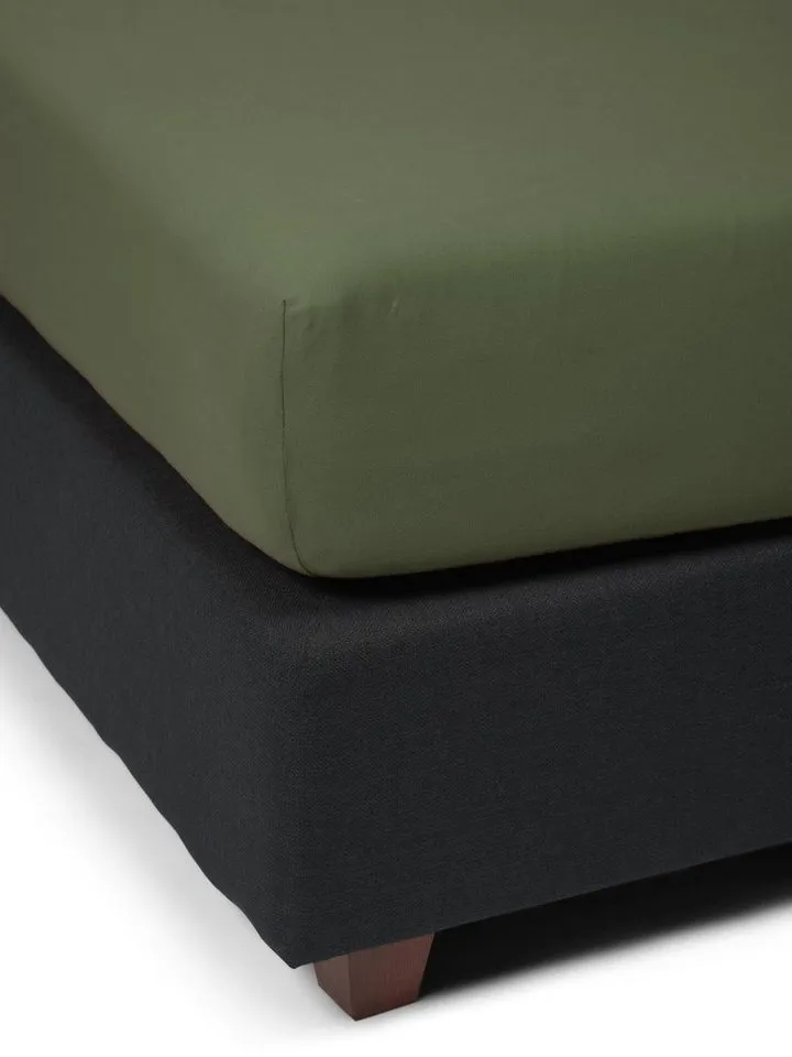 Essenza Spannbettlaken The Perfect Organic Jersey, 95% Bio-Baumwolle (GOTS), 5% Elasthan, Gummizug: rundum, (1 Stück), aus GOTS-zertifizierter Baumwolle Jersey-Stretch, Grün, – Produktbild 2 von 4