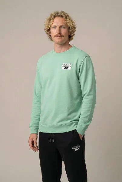 THE FACE OF ELEMENTS The Face of Elements Color Rush - Regular Fit Sweatshirt aus 100% Bio-Baumwolle, Iced mint (grün), – Produktbild 3 von 4