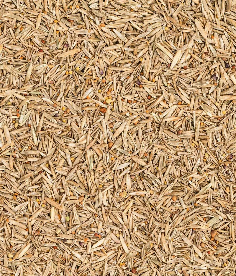 Dehner Rasensamen Bio Saatgut Naturwiese, insektenfreundlich, pflegeleicht, 250 g, 25 m², strapazierfähig, für naturnahe Gärten, lebendige Naturflächen – Produktbild 5 von 5