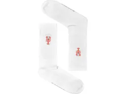 GreenBomb GREENBOMB Bio-Socken "Lobster", Gr. 37/40 – Produktbild 1 von 1