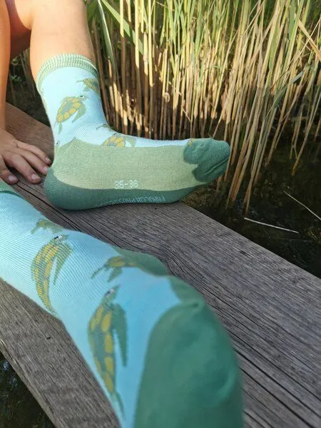 Fräulein Prusselise Fräulein Prusselise Schildkröte Socken, türkis, grün, bunt gemustert – Produktbild 3 von 3