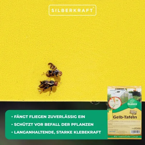 Silberkraft Silberkraft Silence Gelbtafeln (groß): Optimales Monitoring gegen weiße Fliegen, Trauermücken und Blattläuse – Produktbild 3 von 4