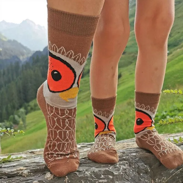 Fräulein Prusselise Fräulein Prusselise Eule Socke braun orange bunt gemustert story – Produktbild 4 von 4