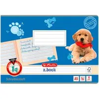 Herlitz herlitz Schreiblernheft, Schreiblernlineatur 1q, DIN A5 quer – Produktbild 1 von 1