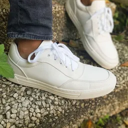 Fairticken Fairticken Vegane Unisex-Sneaker FERREL mit veganem "Mais"-Leder – Produktbild 1 von 1