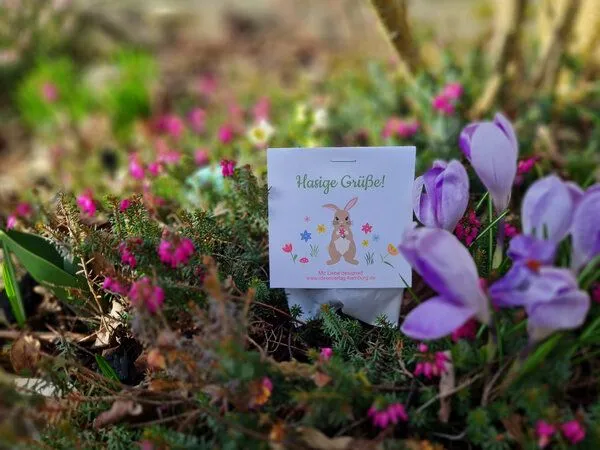 Ideenverlag Hamburg Ideenverlag Hamburg 10 „Hasige Grüße“ Samenbomben im Tütchen mit Wildblumensaatgut – Produktbild 4 von 4