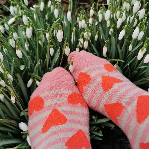 Fräulein Prusselise Fräulein Prusselise Herzchen Socken rot, beige, rosa, bunt gemustert – Produktbild 3 von 4