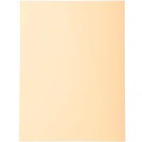 Exacompta 5 x 100 Exacompta Aktendeckel "Forever", 220 g/m², DIN A4, sand – Produktbild 1 von 1