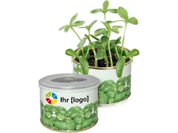 Bio-Mini-Pflanzset 'Dose' Basilikum  mit 1-4 farbigem Aufdruck – Produktbild 1 von 1