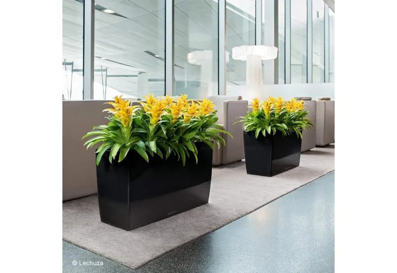 Lechuza® Lechuza® Pflanzkübel Pflanzgefäß Cararo anthrazit metallic – Produktbild 6 von 6