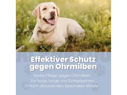 ALPHAZOO ALPHAZOO Anti Ohrmilbenöl 100ml Hunde – Produktbild 1 von 1