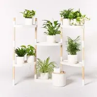 CitySens CitySens Blumenregal mit 6 Ablagen und automatischer Bewässerung. – Produktbild 1 von 1