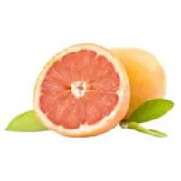 Südafrika Grapefruits Star Ruby – Produktbild 1 von 1