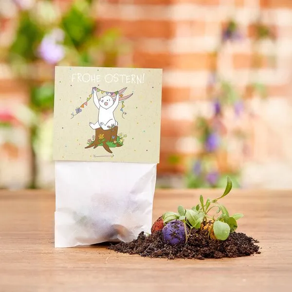 Die Stadtgärtner Die Stadtgärtner 10x5 Blumenmurmeln im Tütchen "Osterhase" I Ostergeschenk für Kinder I Kleinigkeit zu Ostern I Geschenk zu Ostern I Kleine Geschenk für Osternest oder Osterkörbchen – Produktbild 1 von 4