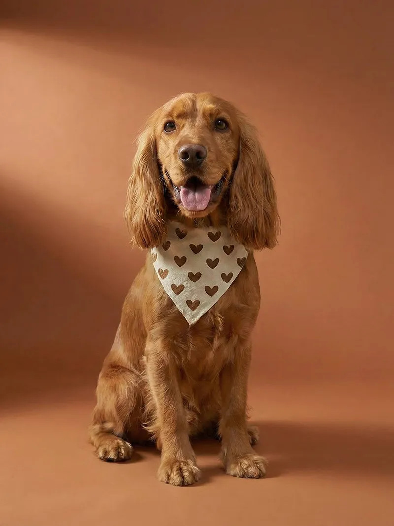 Vertbaudet Bandana für Hunde aus Baumwolle, Beige herzen, – Produktbild 1 von 4