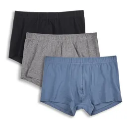 Living Crafts LIVING CRAFTS - Herren Pants, 3er-Pack - Blau (95% Bio-Baumwolle; 5% Elasthan), Nachhaltige Mode, Bio Bekleidung – Produktbild 1 von 1