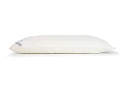 HANS NATUR Bauchschläfer Kissen, 3 Kammern Daunen Maße 40 x 80 cm – Produktbild 1 von 1