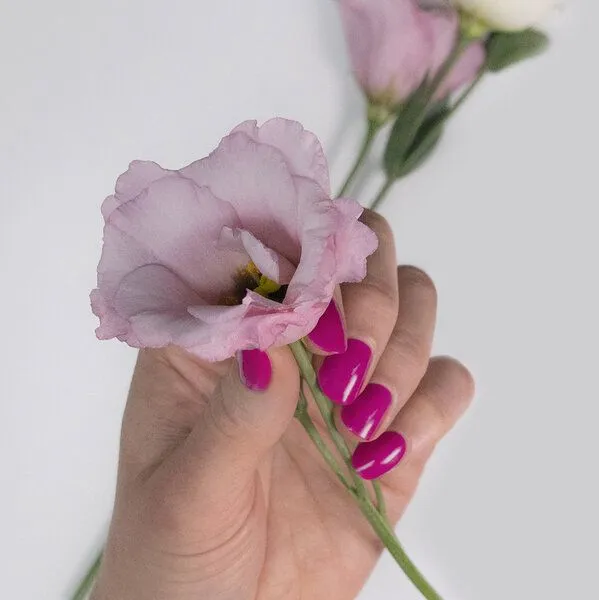 Look To Go Look To Go • veganer Nagellack • ROSA & PINKTÖNE • 21-free & PETA approved, Rose, – Produktbild 6 von 8