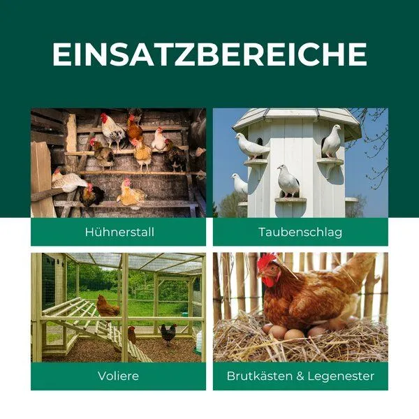 Silberkraft Silberkraft Raubmilben gegen Rote Vogelmilben – Produktbild 3 von 4