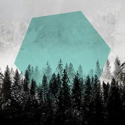 Photocircle Photocircle Poster / Leinwandbild - Woods 3 – Produktbild 1 von 1