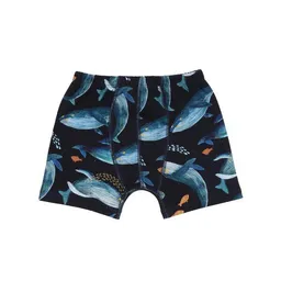 Walkiddy Kleinkinder Unterhose GOTS-zertifiziert aus Bio-Baumwolle, dunkelblau mit Wal-Motiv, 95% Baumwolle 5% Elasthan – Walkiddy, weich & bequem – Produktbild 1 von 1
