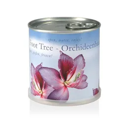 MacFlowers MacFlowers Pflanzen in der Dose - Orchideenbaum – Produktbild 1 von 1