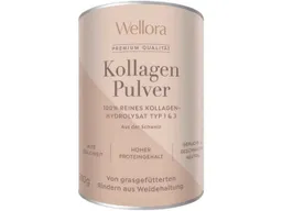 Wellora Kollagen-Trinkpulver Hydrolysat, 300 g – Produktbild 1 von 1