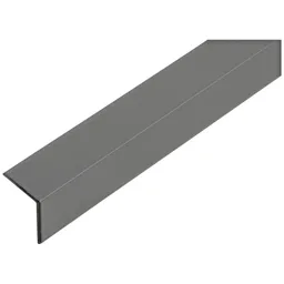 Alberts ALBERTS Winkelprofil, Alu anthr. besch., LxBxHxS 1000 x 25 x 25 x 1 mm – Produktbild 1 von 1
