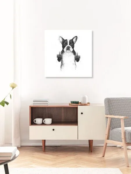 Photocircle Photocircle Poster / Leinwandbild - Censored dog – Produktbild 2 von 4