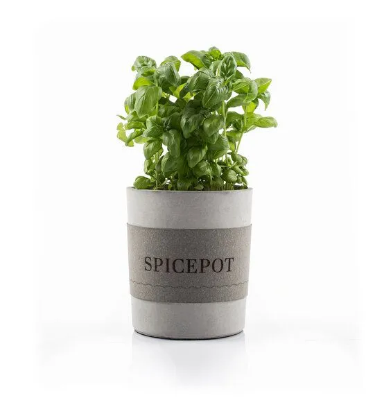 URBANATURE URBANATURE Beton Übertopf SPICEPOT – Produktbild 3 von 4