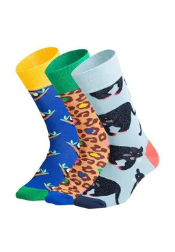 DillySocks DillySocks Socken „Exotic Trio (3er Box)“ – Produktbild 1 von 1
