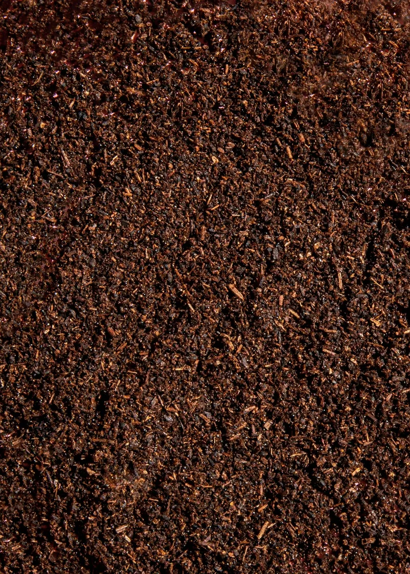 KoRo Bourbon Vanillepulver 25 g – Produktbild 2 von 5