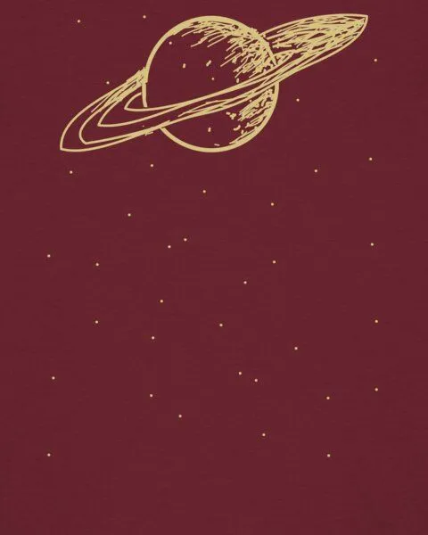 watapparel watapparel T-Shirt Frauen Saturn, Burgundy, – Produktbild 3 von 3