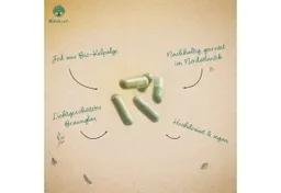 Waldkraft Waldkraft Erdling BIO Kelpalgen-Jod Kapseln, Hochdosiert mit 478,5 µg Jod – Bio-zertifiziert & Vegan à 120 St., 78 g – Produktbild 1 von 1