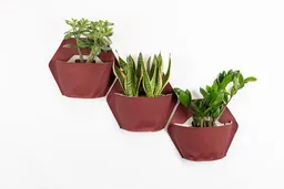 CitySens CitySens Packung mit 3 Bunten Wand-Blumentöpfen aus hochwertigen Altstoffen – Produktbild 1 von 1