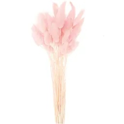 Rico Design Rico Design Getrockneter Lagurus pink ca. 40cm 50 Stück – Produktbild 1 von 1