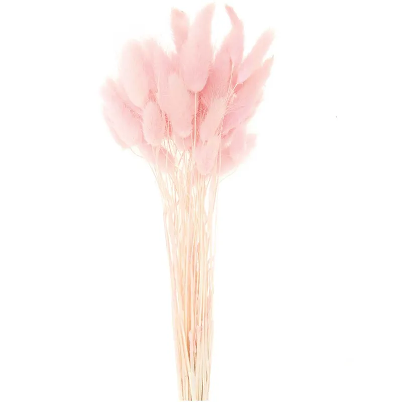 Rico Design Rico Design Getrockneter Lagurus pink ca. 40cm 50 Stück, Pink, – Produktbild 1 von 1