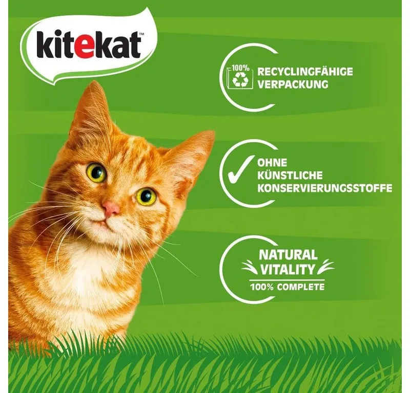 KITEKAT KITEKAT KITEKAT™ Portionsbeutel Multipack Bunte Vielfalt in Sauce 4 x 12 x 85g, für: Katze – Produktbild 1 von 5