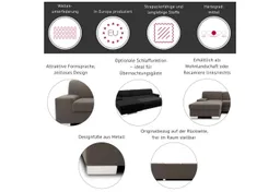 DOMO collection Ecksofa Star, zeitlose Formensprache, elegante Optik, Breite 248cm, L-Form, wahlweise mit Bettfunktion – Produktbild 1 von 1