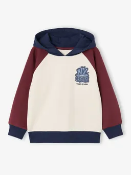 Vertbaudet Vertbaudet Kapuzensweatshirt Jungen Colorblock – Produktbild 1 von 1