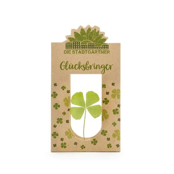 Die Stadtgärtner Die Stadtgärtner Glücksbringer I Echtes vierblättriges Kleeblatt als Talisman-Geschenk – Produktbild 1 von 4