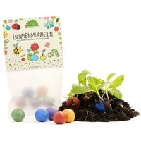 Die Stadtgärtner Die Stadtgärtner Set aus 10 x 5 bunten Blumenmurmeln für Kinder I Mitgebsel für den Kindergeburtstag I Abschiedsgeschenk – Produktbild 1 von 1
