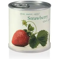 MacFlowers MacFlowers Pflanzen in der Dose - Erdbeere / Strawberry – Produktbild 1 von 1