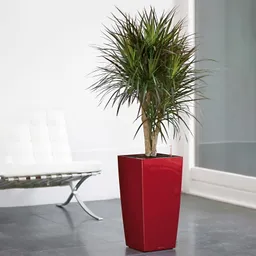 Lechuza® Lechuza® 'Cubico 30', scarlet-rot, ca. 30 x 30 x H 56 cm – Produktbild 1 von 1