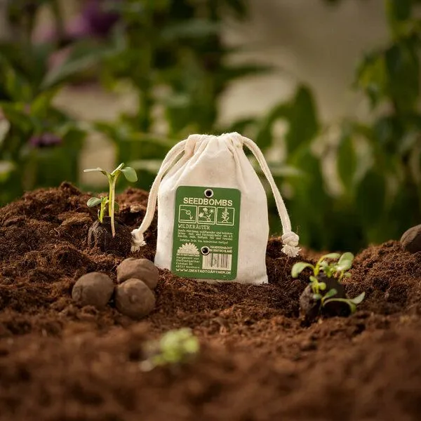 Die Stadtgärtner Die Stadtgärtner Seedbombs Wildkräuter I 8 Handgemachte Samenbomben mit 6 Kräutersamen – Produktbild 2 von 3