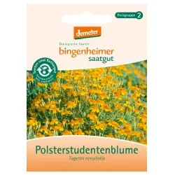 Bingenheimer Saatgut Polsterstudentenblume – Produktbild 1 von 1
